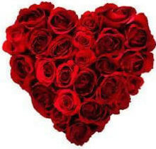 Load image into Gallery viewer, Eileen's Pralines 5 pack Mailbox Tins Delivered USA